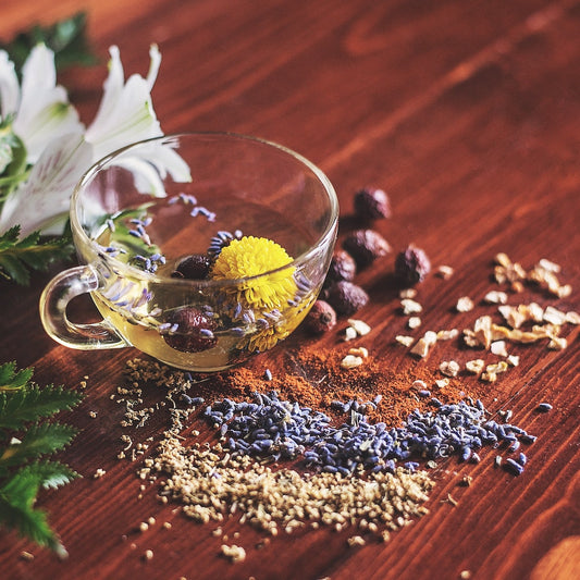 Why should I Incorporate Herbs in my Hair Routine?